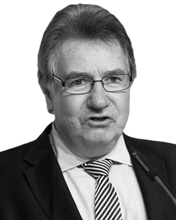 Professor Jan Ekstrand