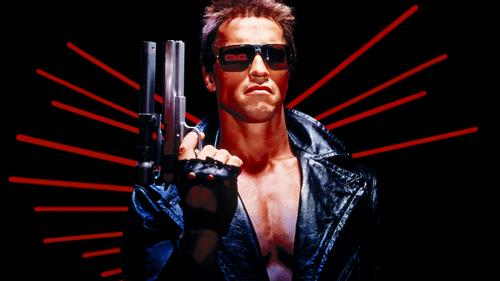 The Terminator helped make fitness hero Arnold Schwarzenegger into one of the world's biggest film stars