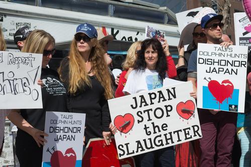 WAZA suspends Japanese member over Taiji dolphin hunts