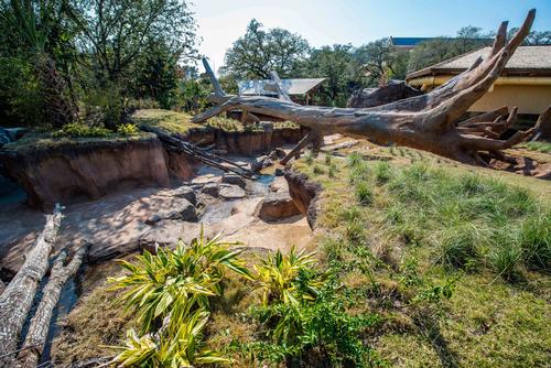 The Seattle-based Portico Group designed the enclosure / Julie Larsen Maher/WCS