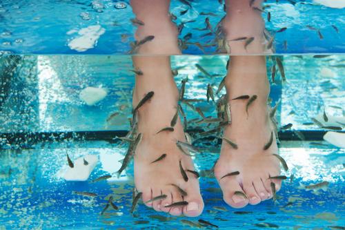 US ban on fish spa practice considered unconstitutional