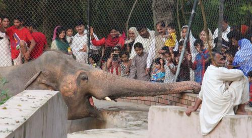 The zoo is in dire need of modernisation, something the government is addressing as part of a nationwide initiative 