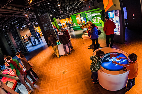 Multi-touch exhibit screens enable visitors to navigate animations, images, texts and videos