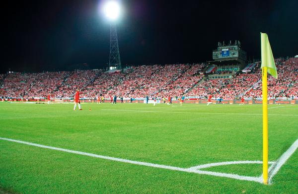 Specific requirements for the playing performance of a sports surface may need to adhere to governing body standards / PIC: ©shutterstock.com/Tomasz Bidermann