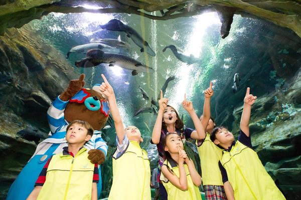 Lotte’s aquarium is divided into 13 themed zones