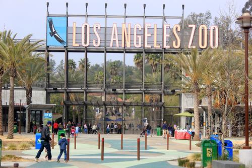 The zoo's training scheme saw 74,000 hours of volunteer time put in last year / Los Angeles Zoo