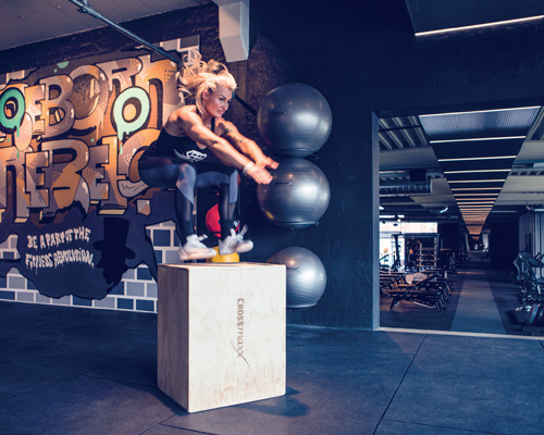 IHRSA update: The great Dane