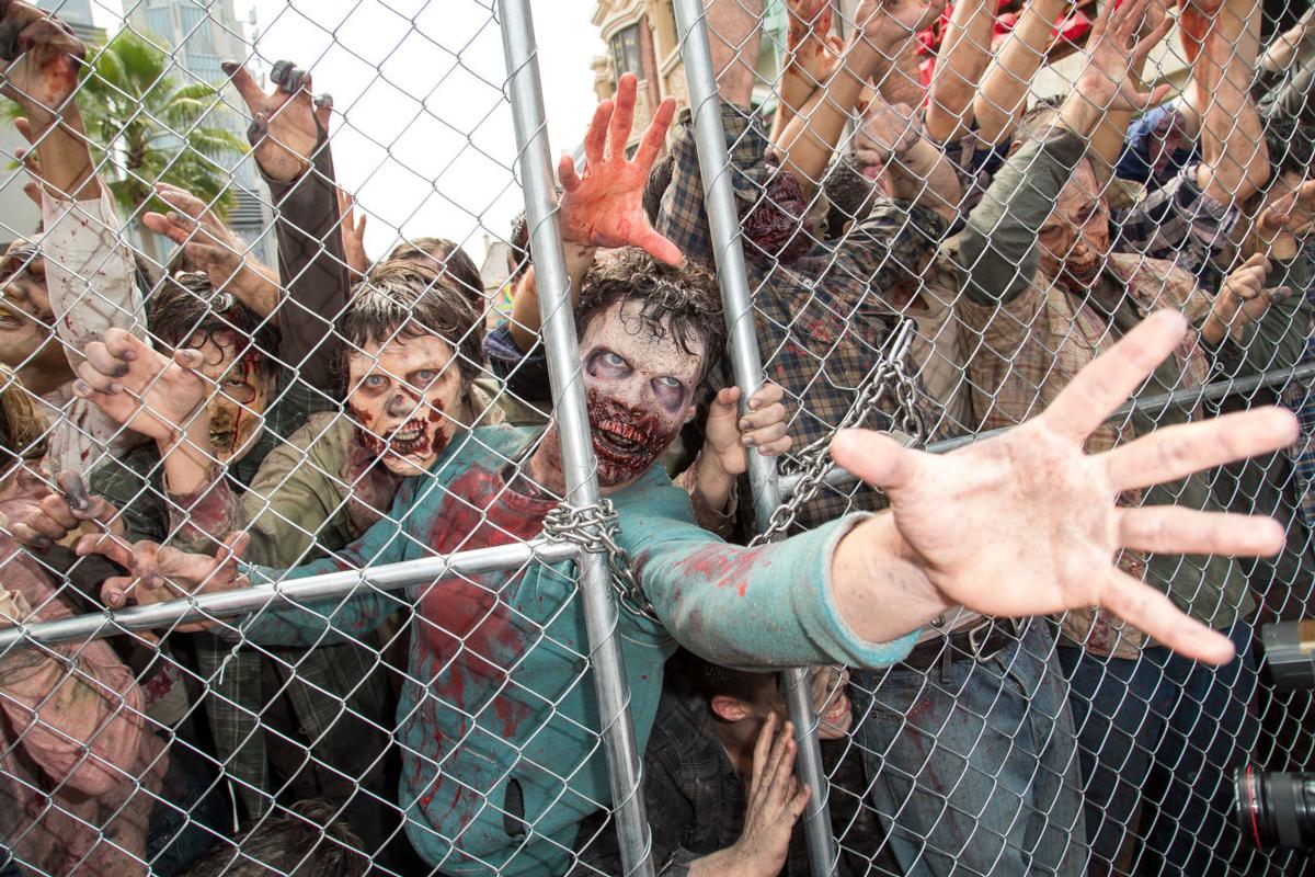 Included in the walkthrough are actors playing survivors who attempt to fend of the approaching walkers – a mix of actors and animatronics Included in the walkthrough are actors playing survivors who attempt to fend of the approaching walkers – a mix of actors and animatronics