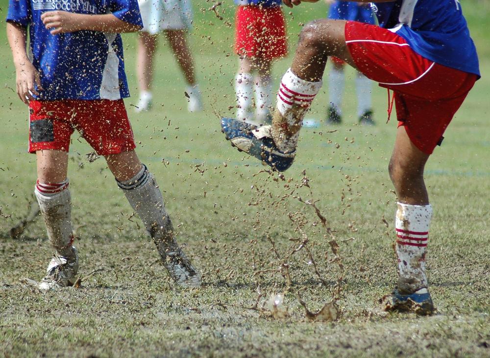 The quality of natural turf surfaces 
affect the standard of performance