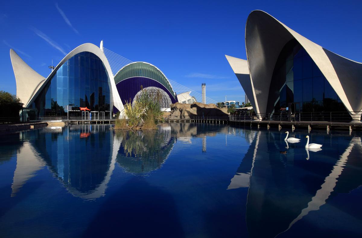 The complex consists of L'Agora, a multi-functional space, and L'Oceanographic, which first opened in 2003 / Shutterstock.com/Lago The complex consists of L'Agora, a multi-functional space, and L'Oceanographic, which first opened in 2003 / Shutterstock.com/Lago