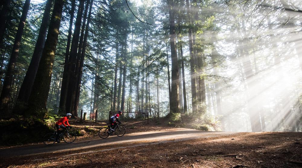 Strava taps into an innate human desire to compete / Photo: Jered Gruber