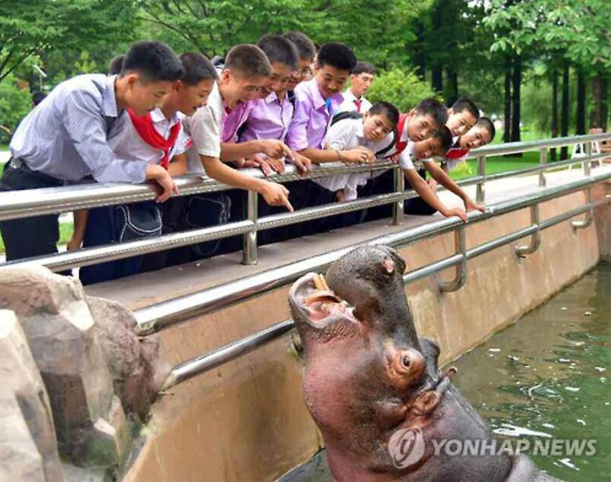 New enclosures offer better facilities for the zoo's animals / Yonhap News New enclosures offer better facilities for the zoo's animals / Yonhap News