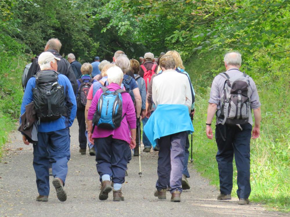Morgan’s patients organise and lead their own walking group