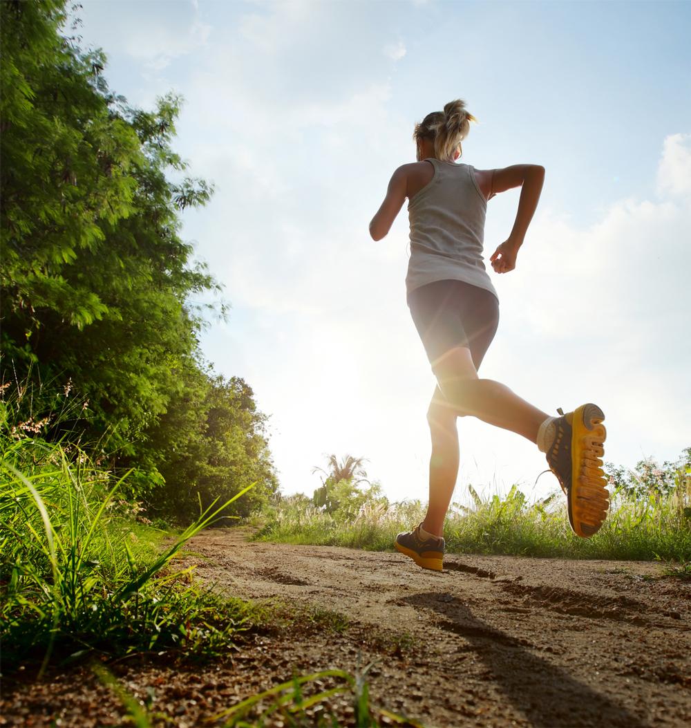 Members may leave to train outdoors in the summer, but then re-join in the winter / Photo: shutterstock.com / Dudarev Mikhail