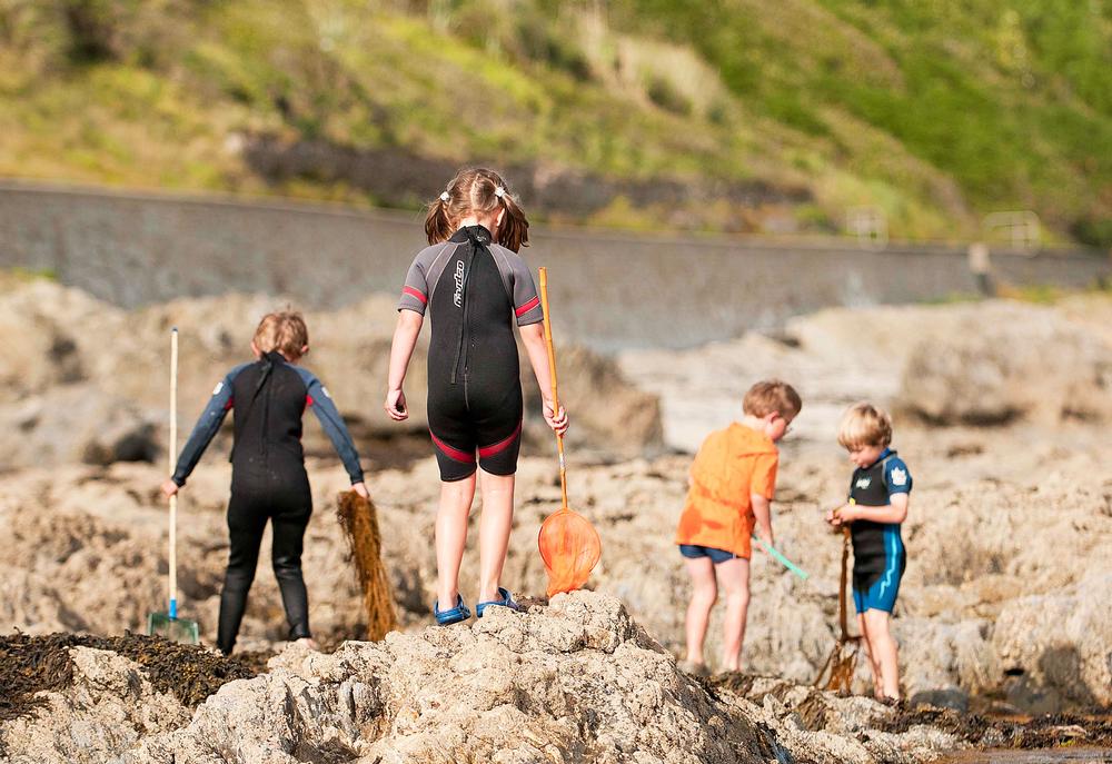Rock pooling is an activity offered to children in the Trusts’ Wildlife Watch clubs / PHOTO: BERTIE GREGORY