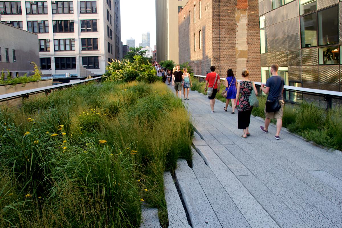 The High Line will be one of the city's urban parks put under the microscope / Wiki Commons