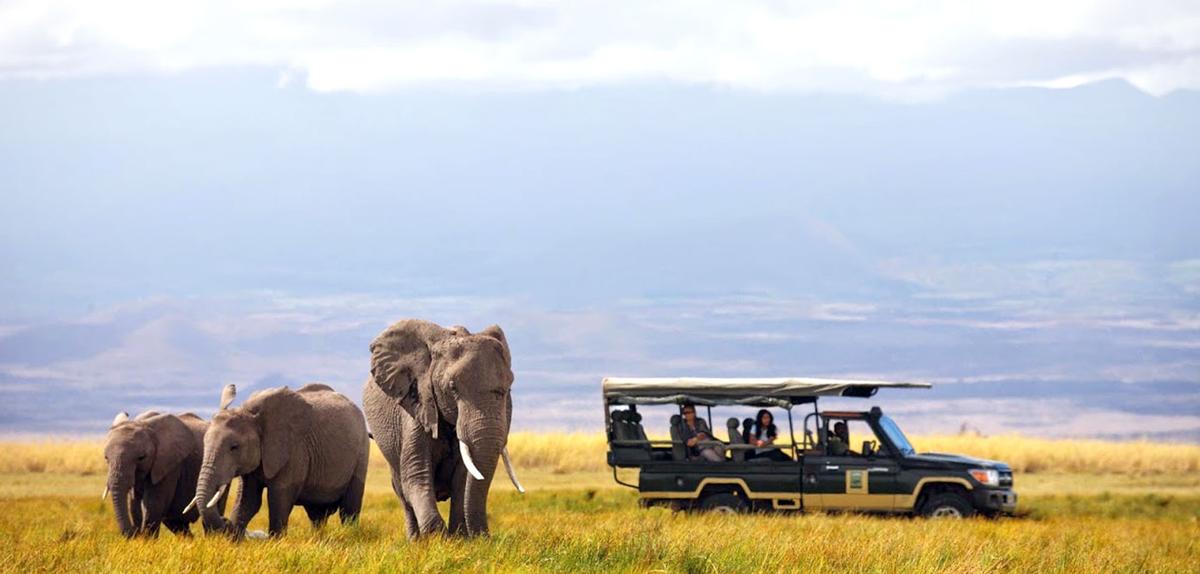The safari and wellness experiences are becoming one in Africa, creating a new trend for African tourism