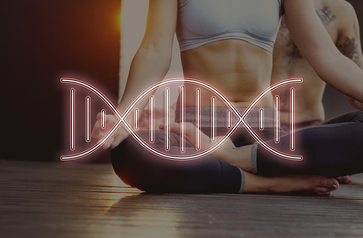 DNA profiling will give members information about their response to power or endurance exercise, food sensitivities, and recovery times / Shutterstock DNA profiling will give members information about their response to power or endurance exercise, food sensitivities, and recovery times / Shutterstock
