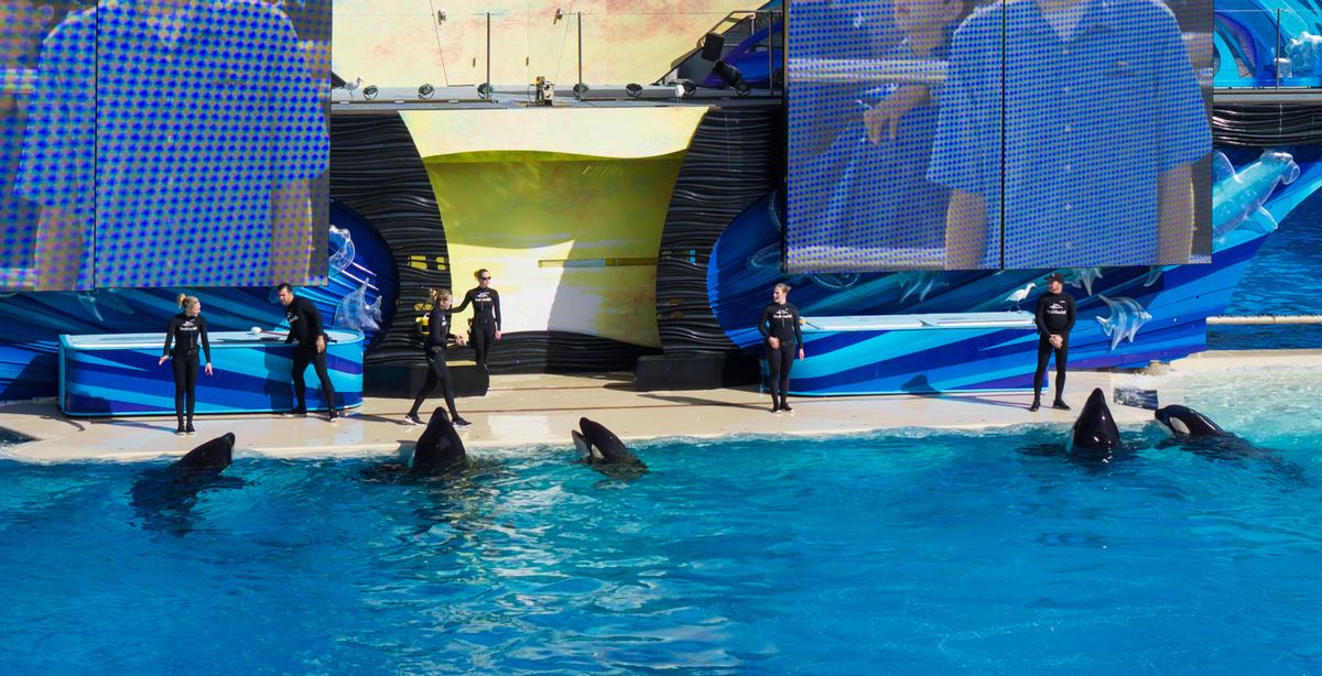 SeaWorld cutting 320 jobs as part of company-wide restructuring