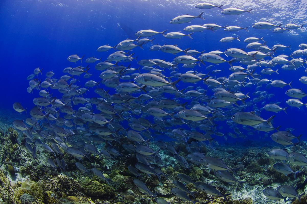 Palawan is known as the Philippines' last ecological frontier Palawan is known as the Philippines' last ecological frontier