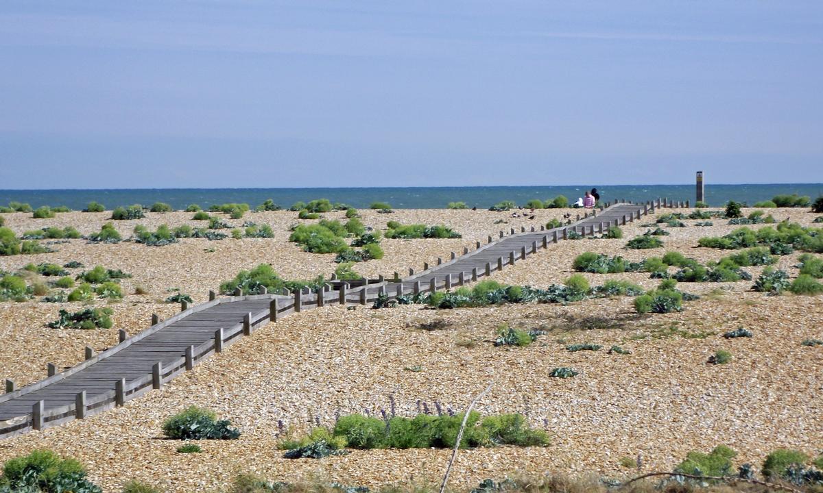 The Fifth Continent will restore and protect habitats and species across 242 sq km (93.4sq m) of low-lying coastal land in South Kent such as the shingle ridges of Dungeness.
