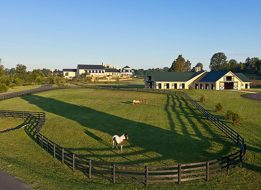 Johnson is a devoted spa-goer and her daughter is an Olympic show-jumper – these passions are evident throughout the US$130m property which was one of the only US luxury resorts to open last year 