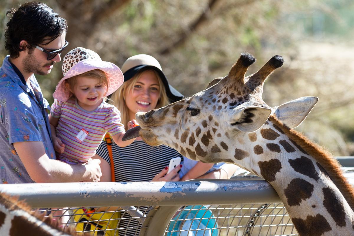 Clayton says a zoo visit is primarily a social experience / Wollertz / Shutterstock.com