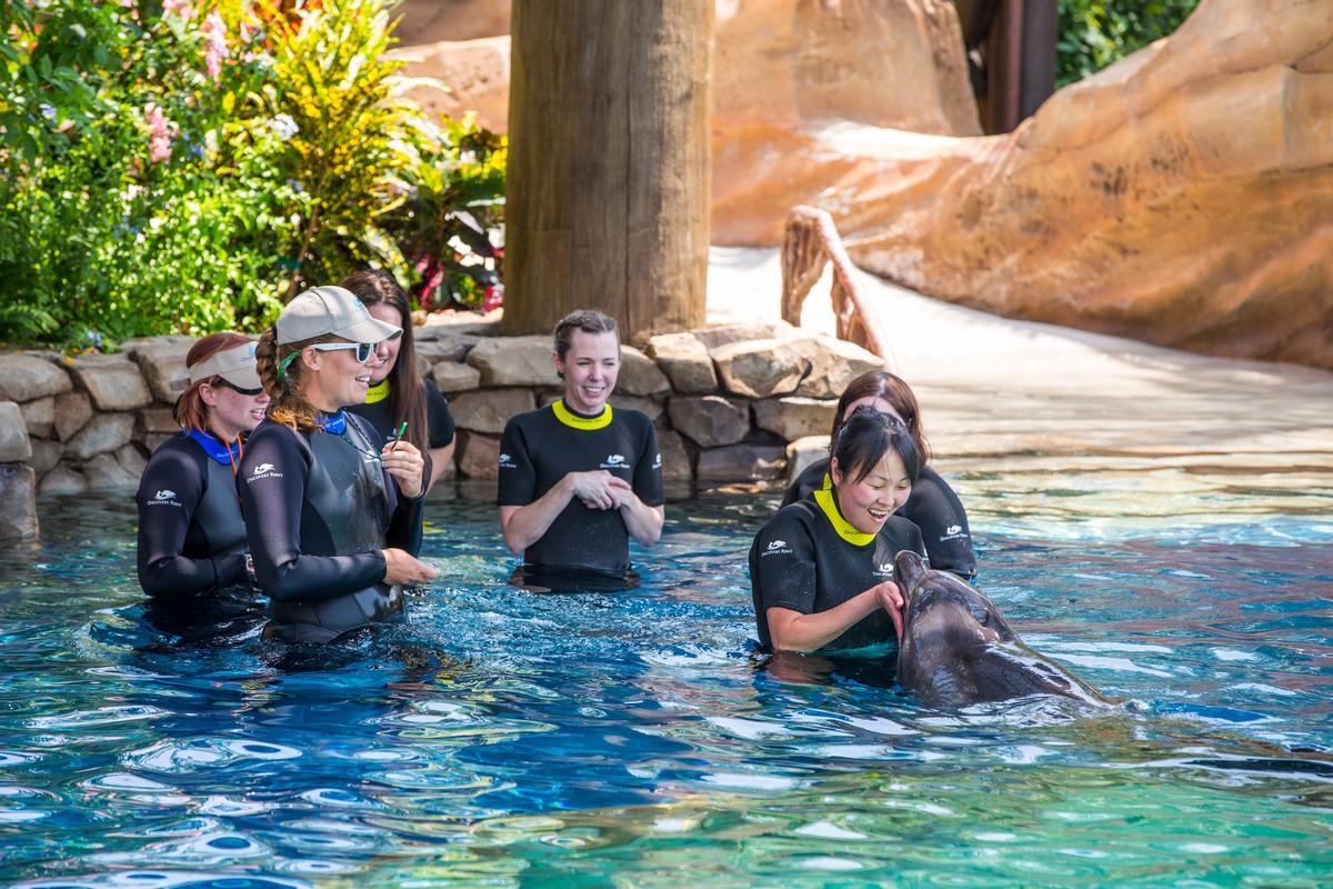 SeaWorld's new investors could be bringing elements of the brand to China, Macau, Hong Kong and Taiwan / SeaWorld Discovery Point SeaWorld's new investors could be bringing elements of the brand to China, Macau, Hong Kong and Taiwan / SeaWorld Discovery Point