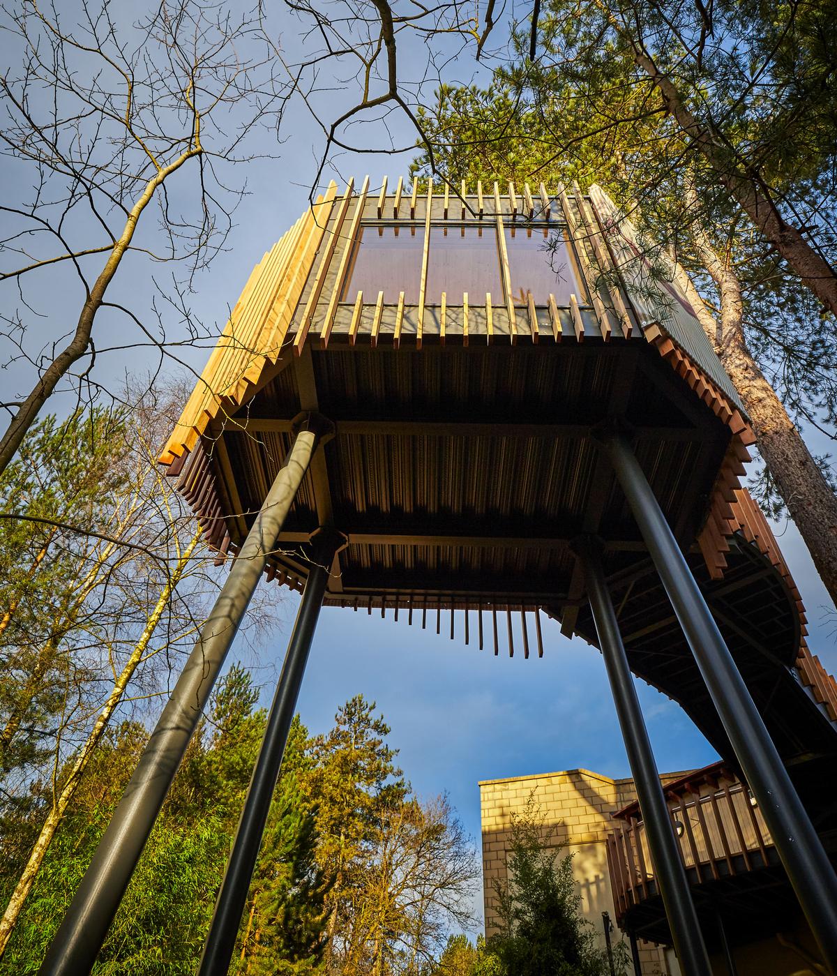 sauna, Scandinavian Snug, and Forest Meditation room: Center Parcs' new Forest Spa concept debuts in the land of Hood Architecture and design news | CLADglobal.com