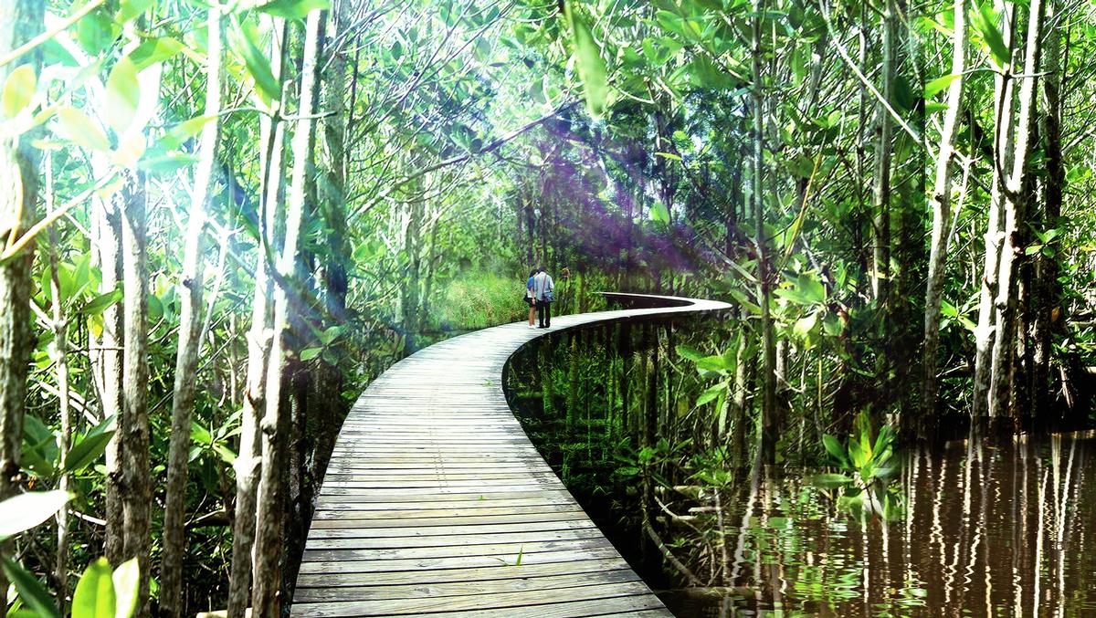 Interlinked footpaths suspended above the forest floor will allow residents to access the woodlands, coast and lagoon without disturbing the ground and damaging the wildlife / Gross Max