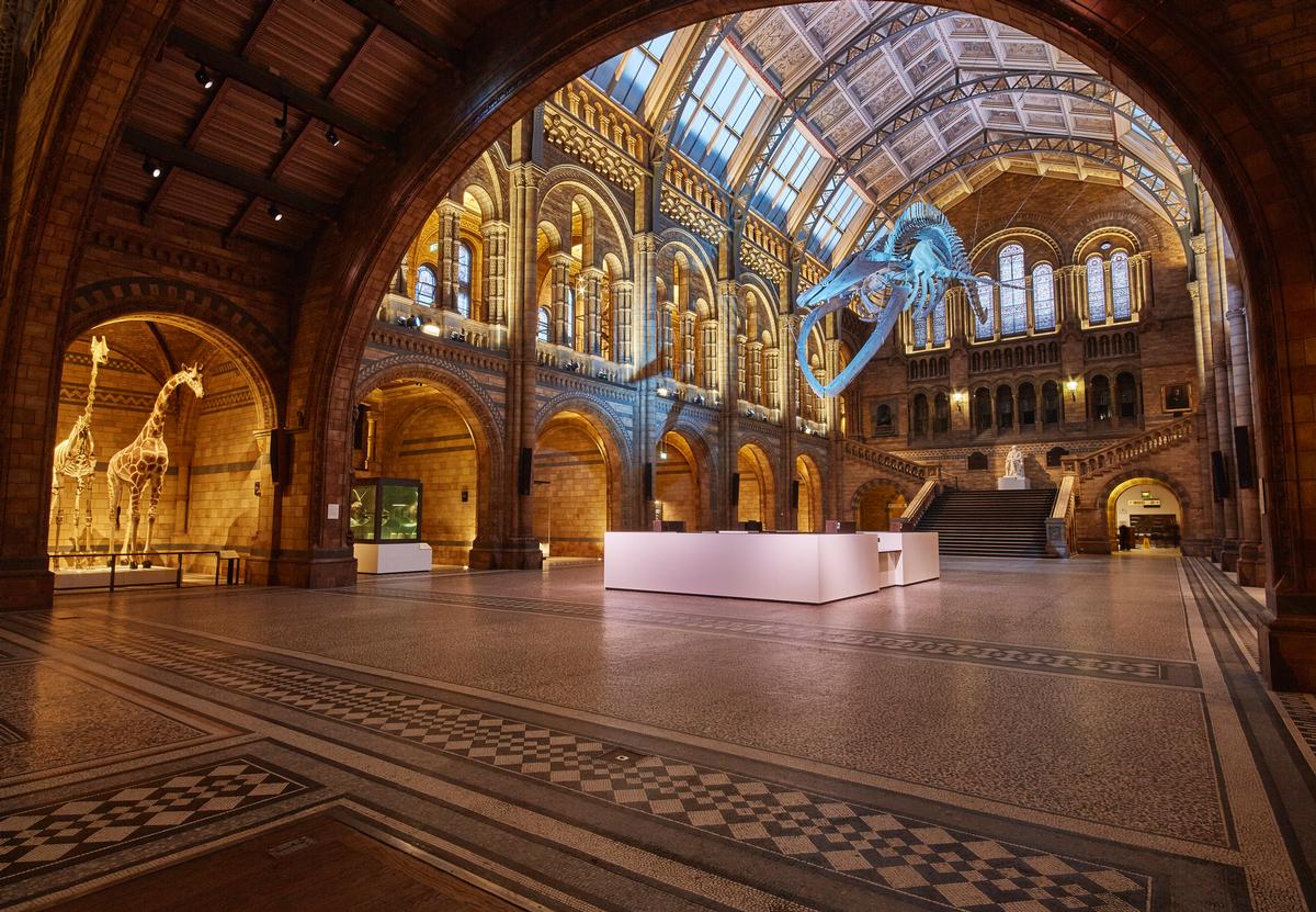 Environmental and exhibition design practice Casson Mann was selected to reinvigorate the iconic Hintze Hall / NHM
