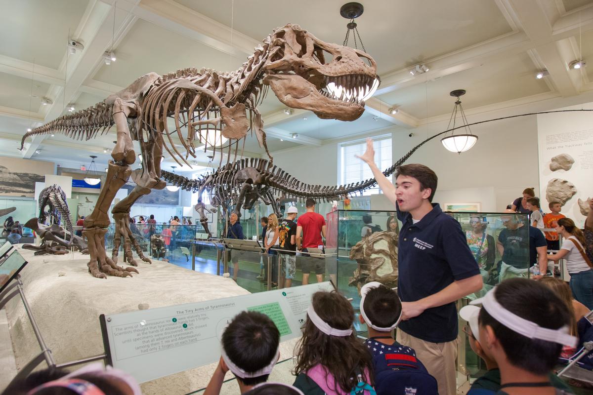 Trainees design and conduct creative tours for the more than 500 camp groups that visit through the summer / AMNH Trainees design and conduct creative tours for the more than 500 camp groups that visit through the summer / AMNH
