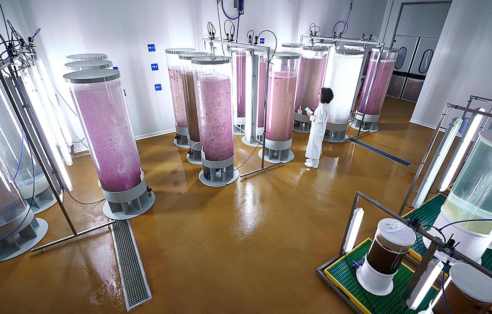 PHYTOMER’s pioneering laboratories where marine sugars are used in high-tech skincare