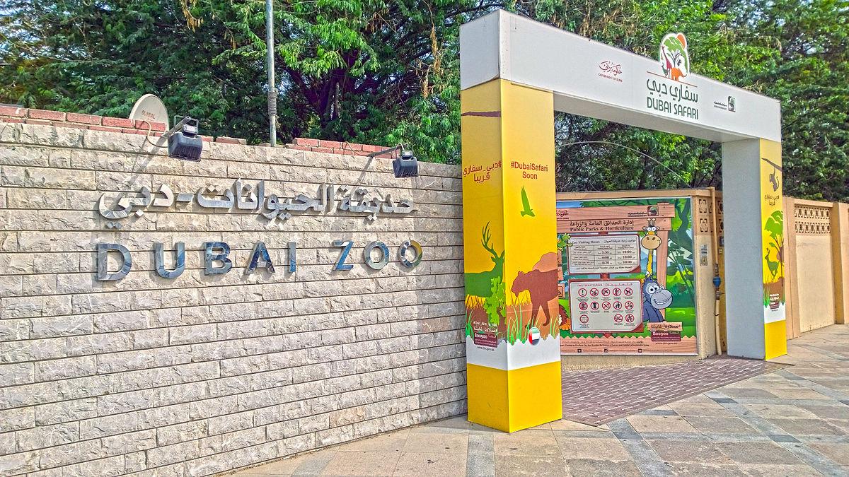 The Municipality has invited the public to visit Dubai Zoo for free this weekend, with a closing ceremony taking place on Sunday (5 November) The Municipality has invited the public to visit Dubai Zoo for free this weekend, with a closing ceremony taking place on Sunday (5 November)