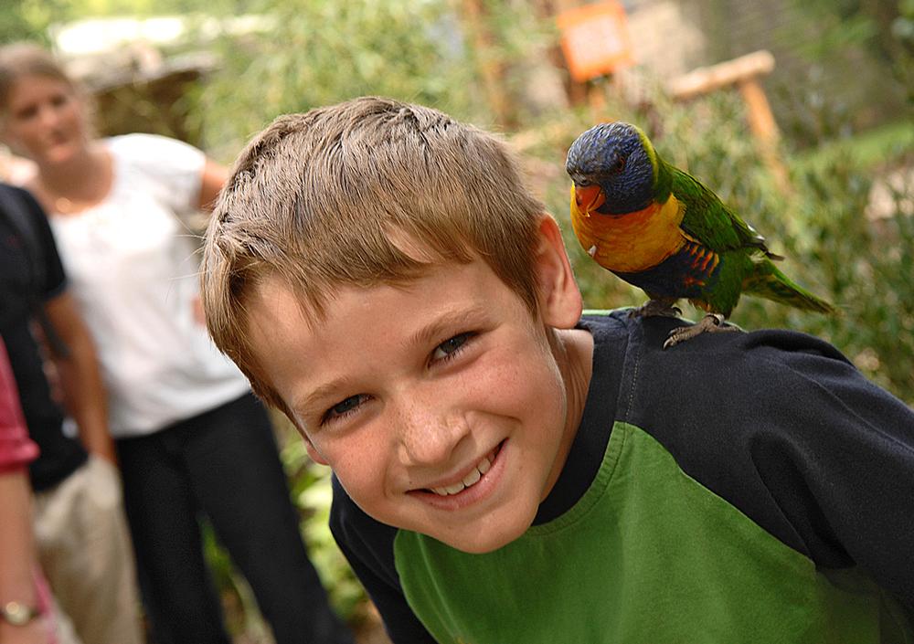 Longleat offers visitors the chance to hand feed many of the park’s animals 