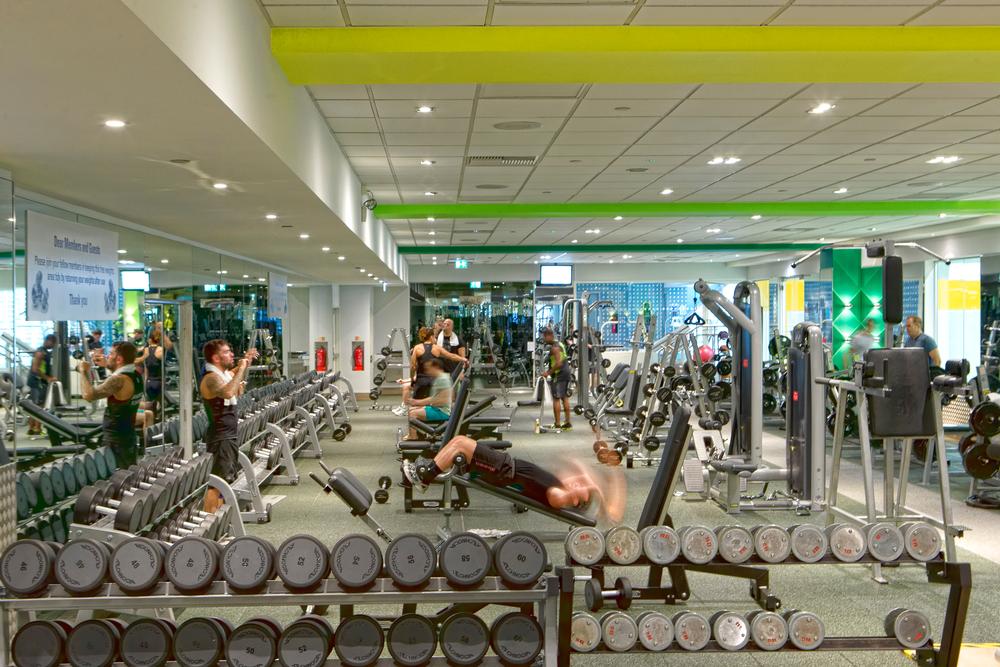 For those who find the gym intimidating, gym budd-e can address their concerns 24/7 For those who find the gym intimidating, gym budd-e can address their concerns 24/7