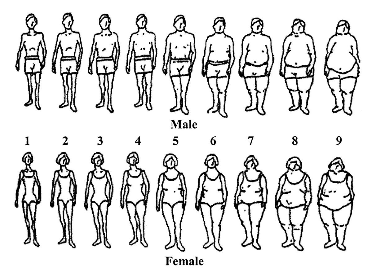 The visual scale used as part of the study (pictured) threw up some alarming body perceptions / http://edbites.com/