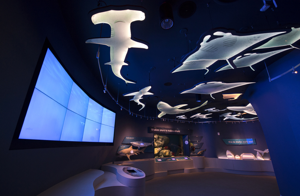 Interactive displays add a whole new level of immersion for visitors to the new aquarium 
