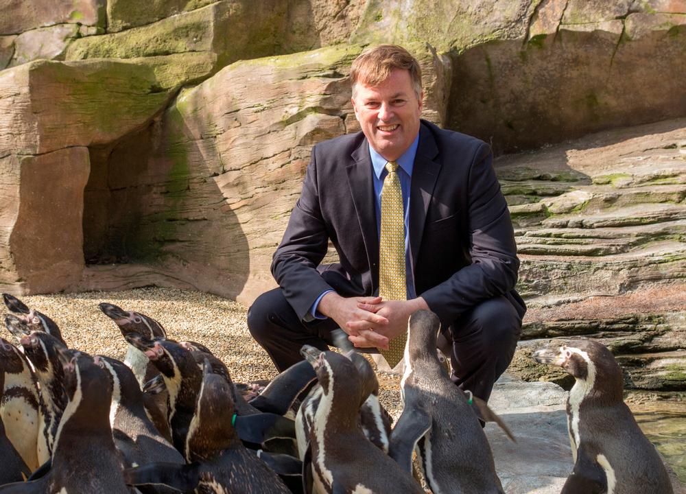 Bob Montgomery previously worked at Herschend’s Wild Adventures in America Bob Montgomery previously worked at Herschend’s Wild Adventures in America