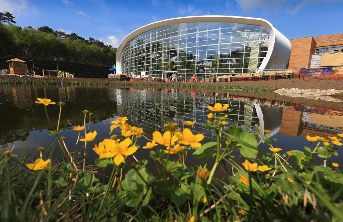 More than 250 guests are expected to attend the first day of the event which will be held at Center Parcs Woburn, UK / Center Parcs