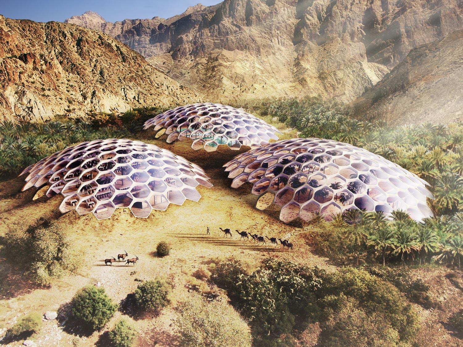 The project will provide facilities for a wildlife conservation centre, a restaurant, educational workshops and an adventure-based wilderness retreat / Baharash Architecture