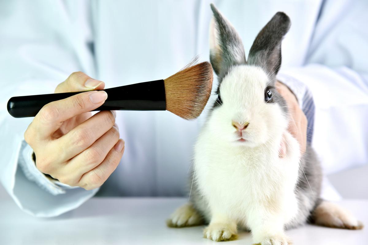California would be the first US state to pass a law banning the sale of cosmetics tested on animals / Shutterstock