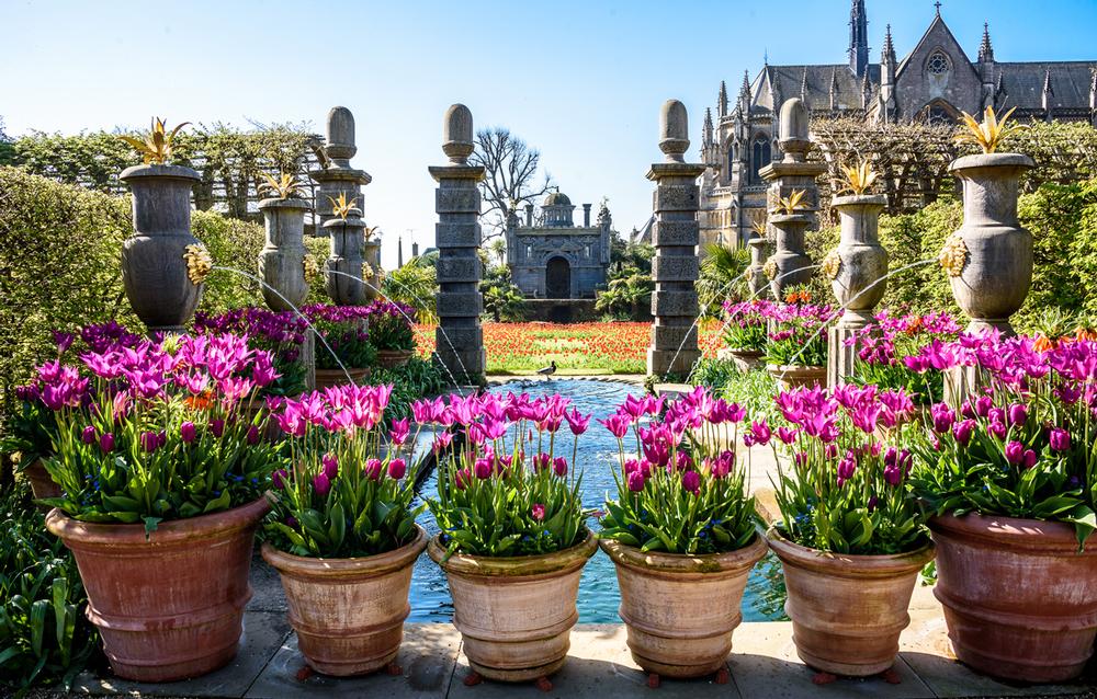 The Annual Tulip Festival in April will showcase 70,000 tulips throughout the gardens