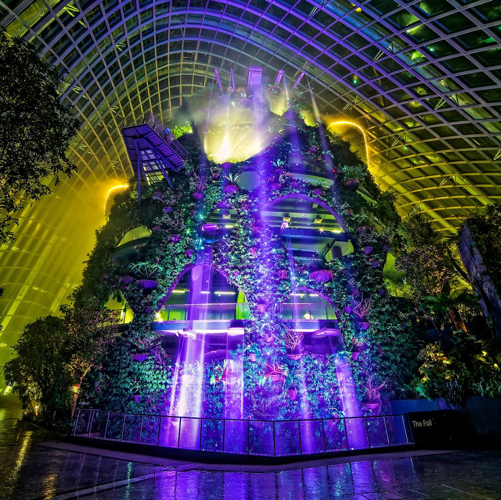 Singapore’s Gardens by the Bay is rich in visual stimuli