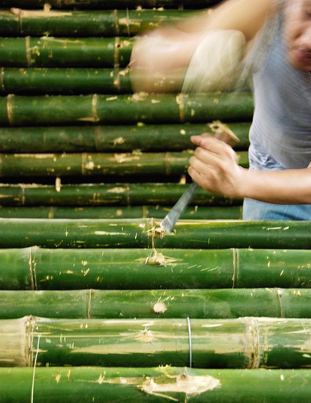Bamboo, dubbed ‘green steel’, is light, strong and highly sustainable, needing only four years to grow to maturity