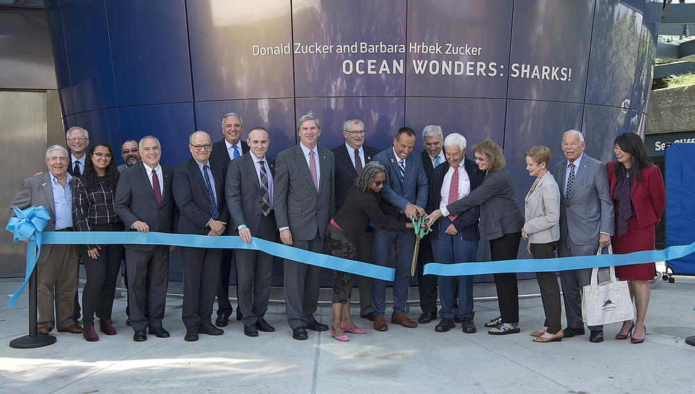 Ocean Wonders: Sharks!, enjoyed its grand opening on 30 June, six years on from the devastation caused by Hurricane Sandy