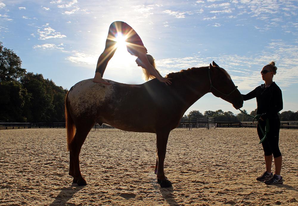 Johnson is a devoted spa-goer and her daughter is an Olympic show-jumper – these passions are evident throughout the US$130m property which was one of the only US luxury resorts to open last year 