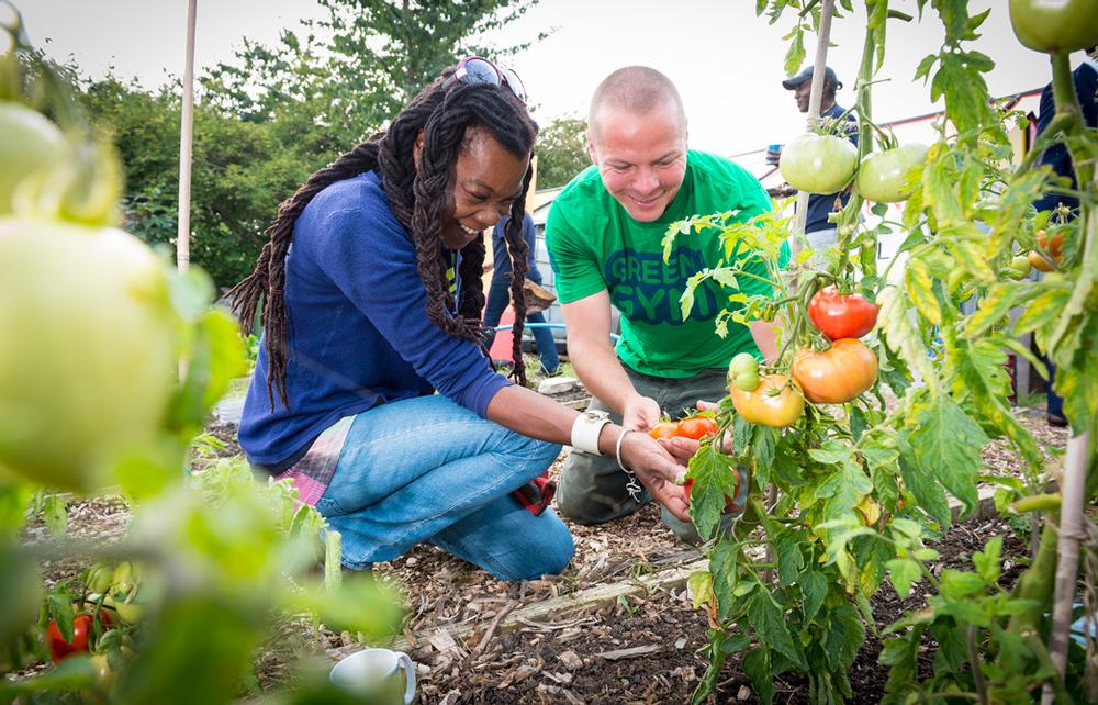 Green Gym volunteers see the fruits of their labours