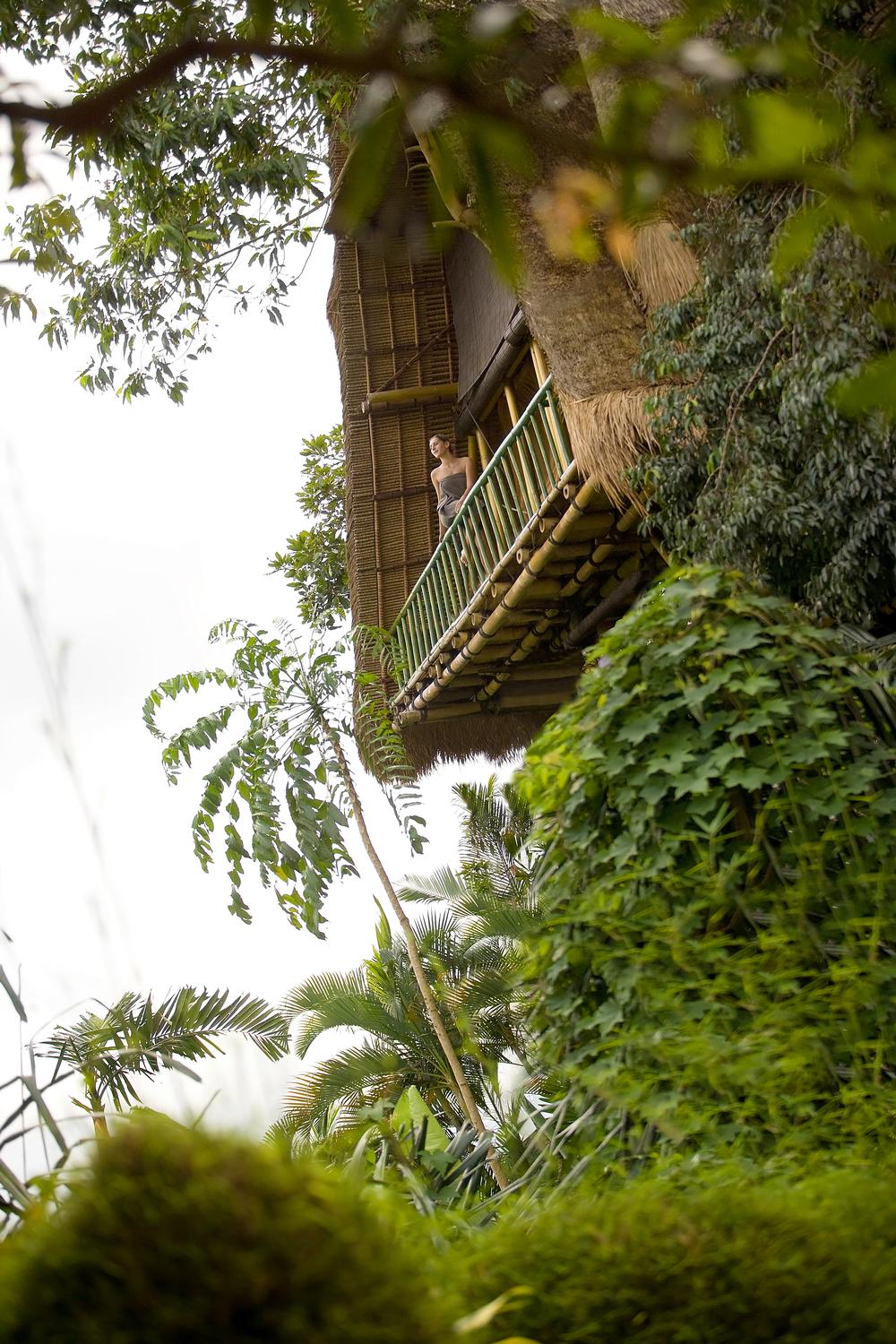 The first L’Occitane hotel spa, with treetop treatment rooms, opened at Kupu Kupu Barong resort in Bali in 2009