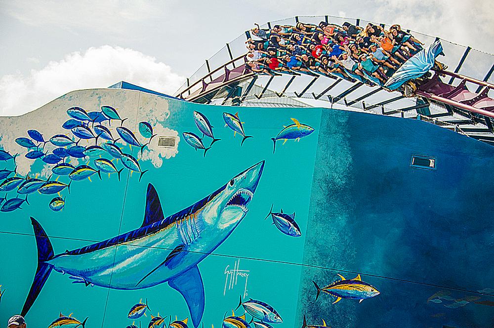 The new Mako, with theming by marine wildlife artist Guy Harvey, is the fastest coaster in Orlando